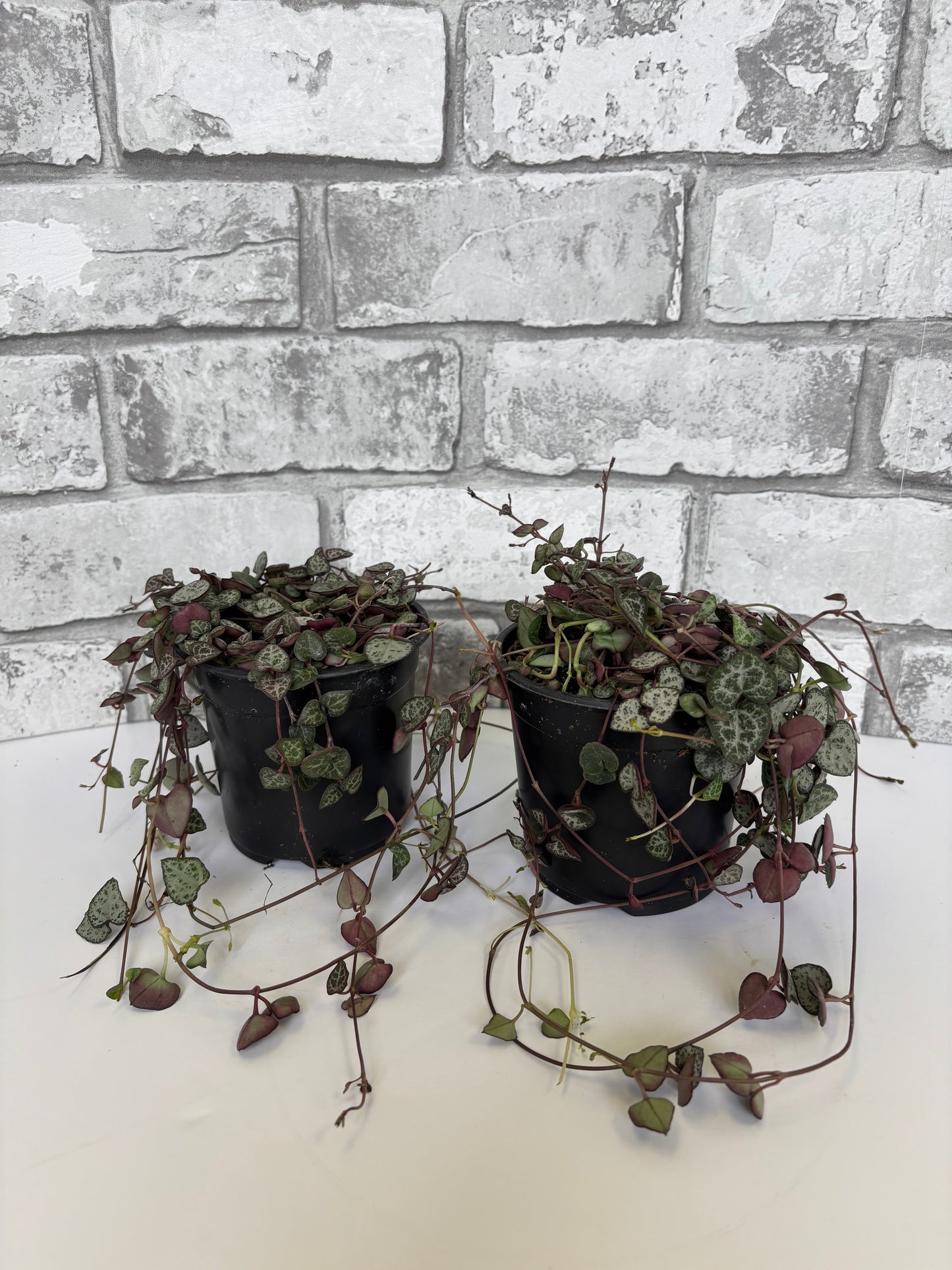 4” String of Hearts