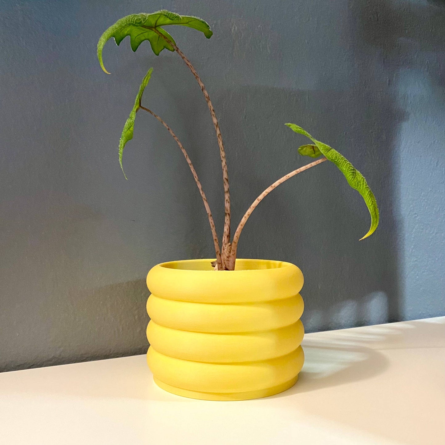 3D Printed 3" Bubble Pot! Indoor Planter