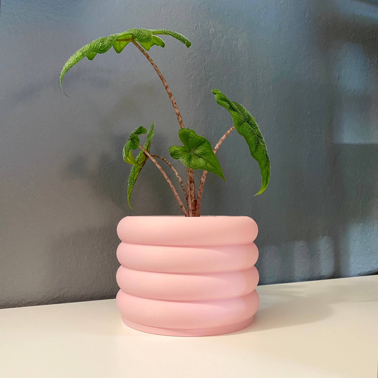 3D Printed 3" Bubble Pot! Indoor Planter