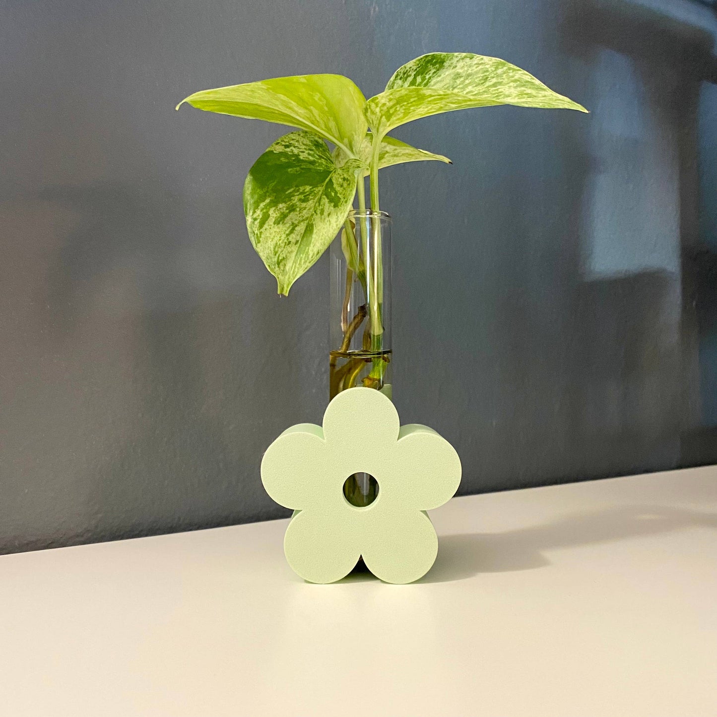 3D Printed Daisy Propagation Station - Eco-Friendly!