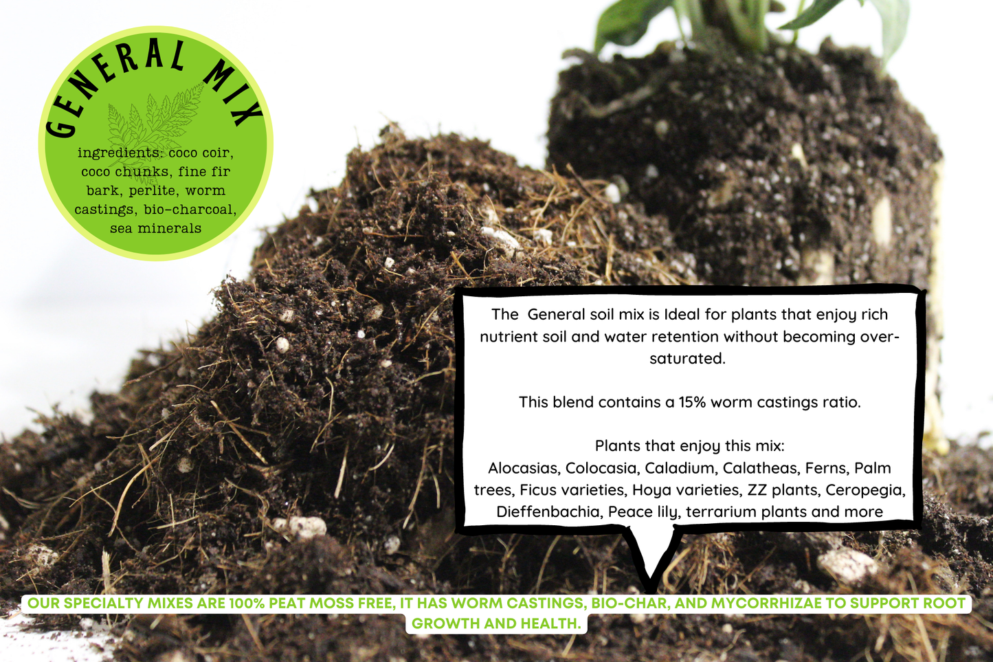 General blend-Potting soil for indoor plants (Copy)