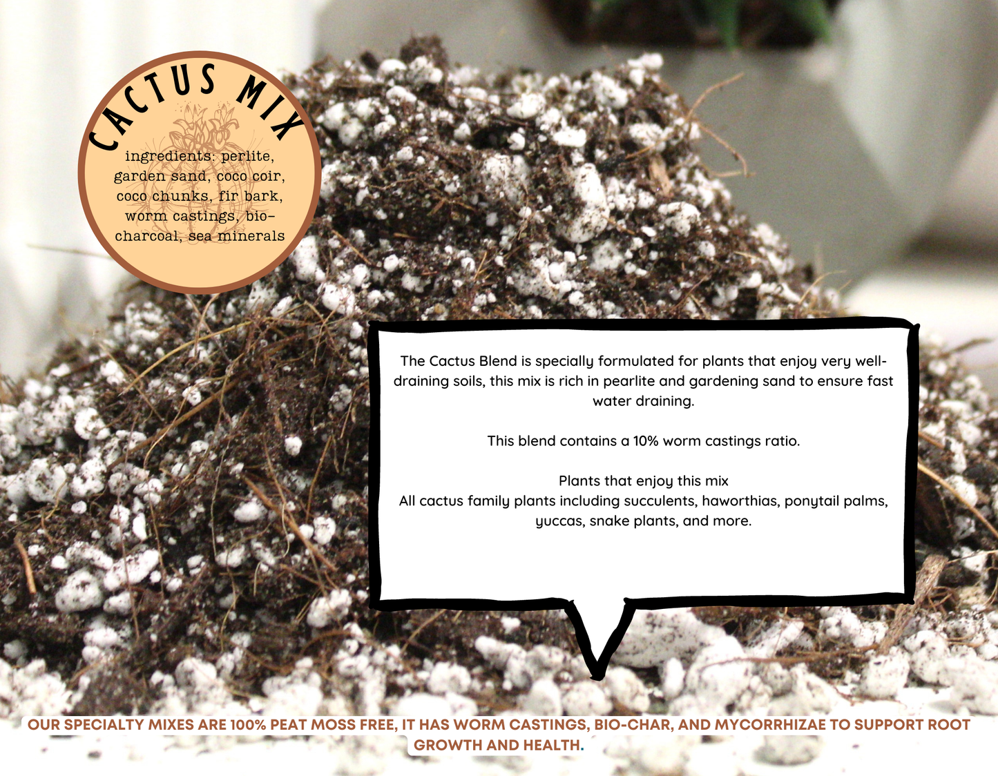 Cactus blend-Potting soil for indoor plants (Copy) (Copy)