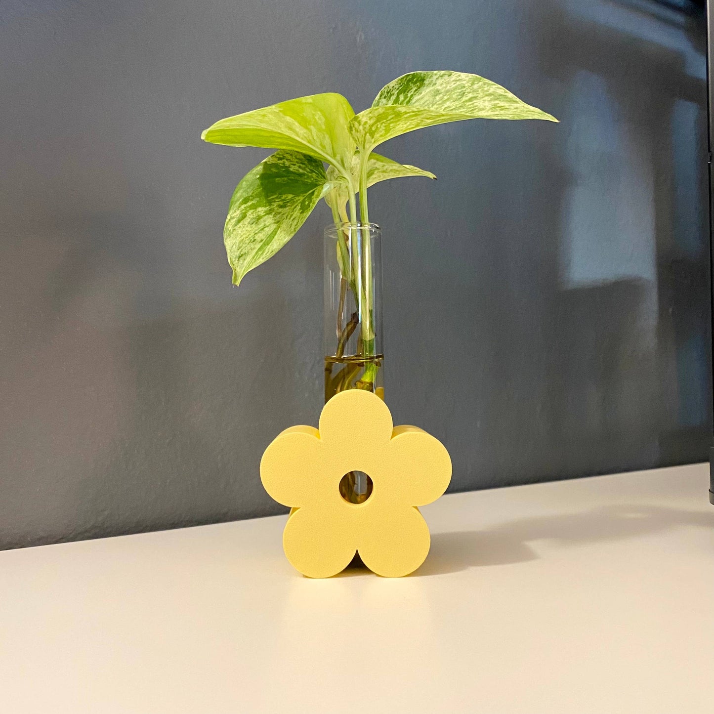 3D Printed Daisy Propagation Station - Eco-Friendly!