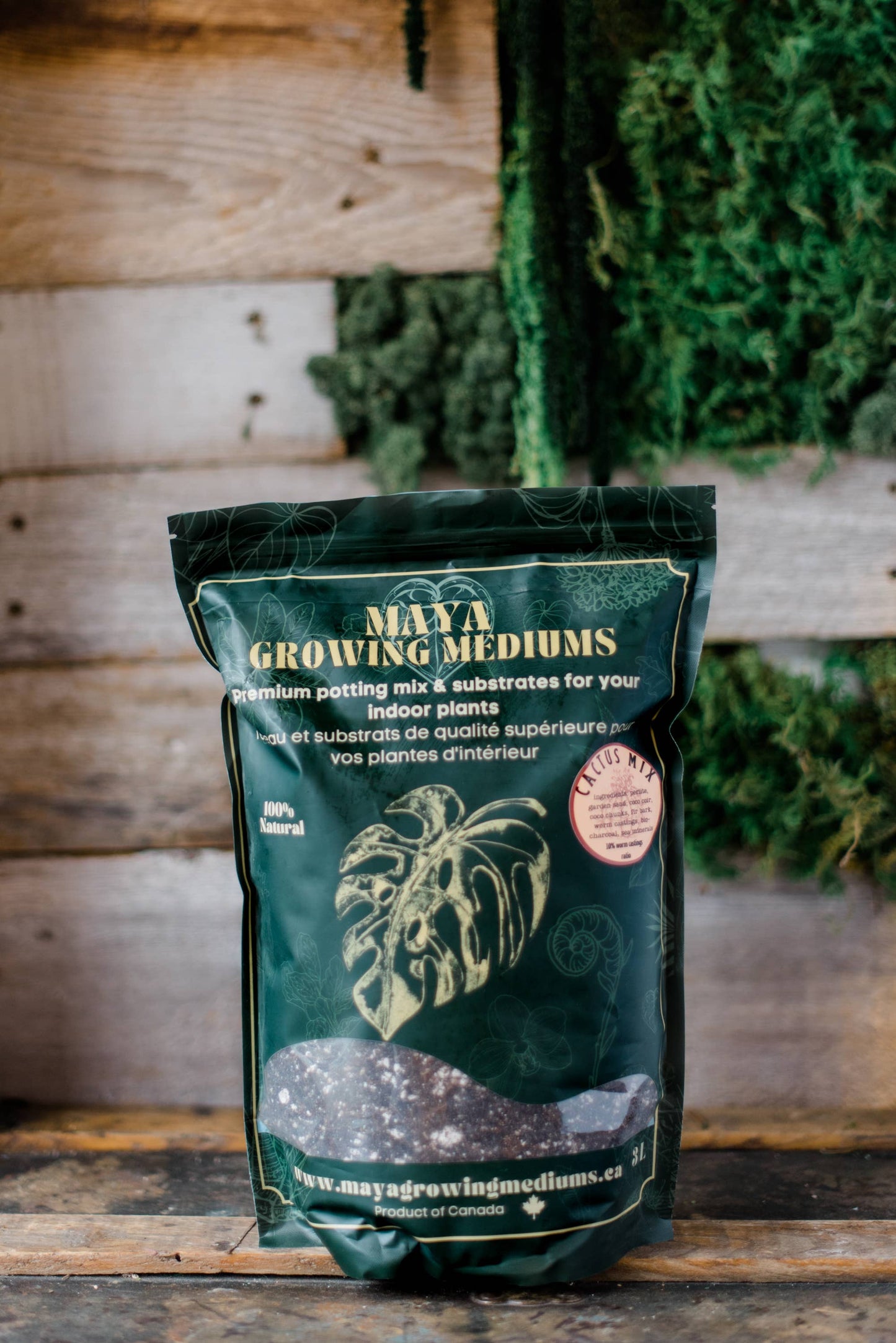 Cactus blend-Potting soil for indoor plants (Copy) (Copy)