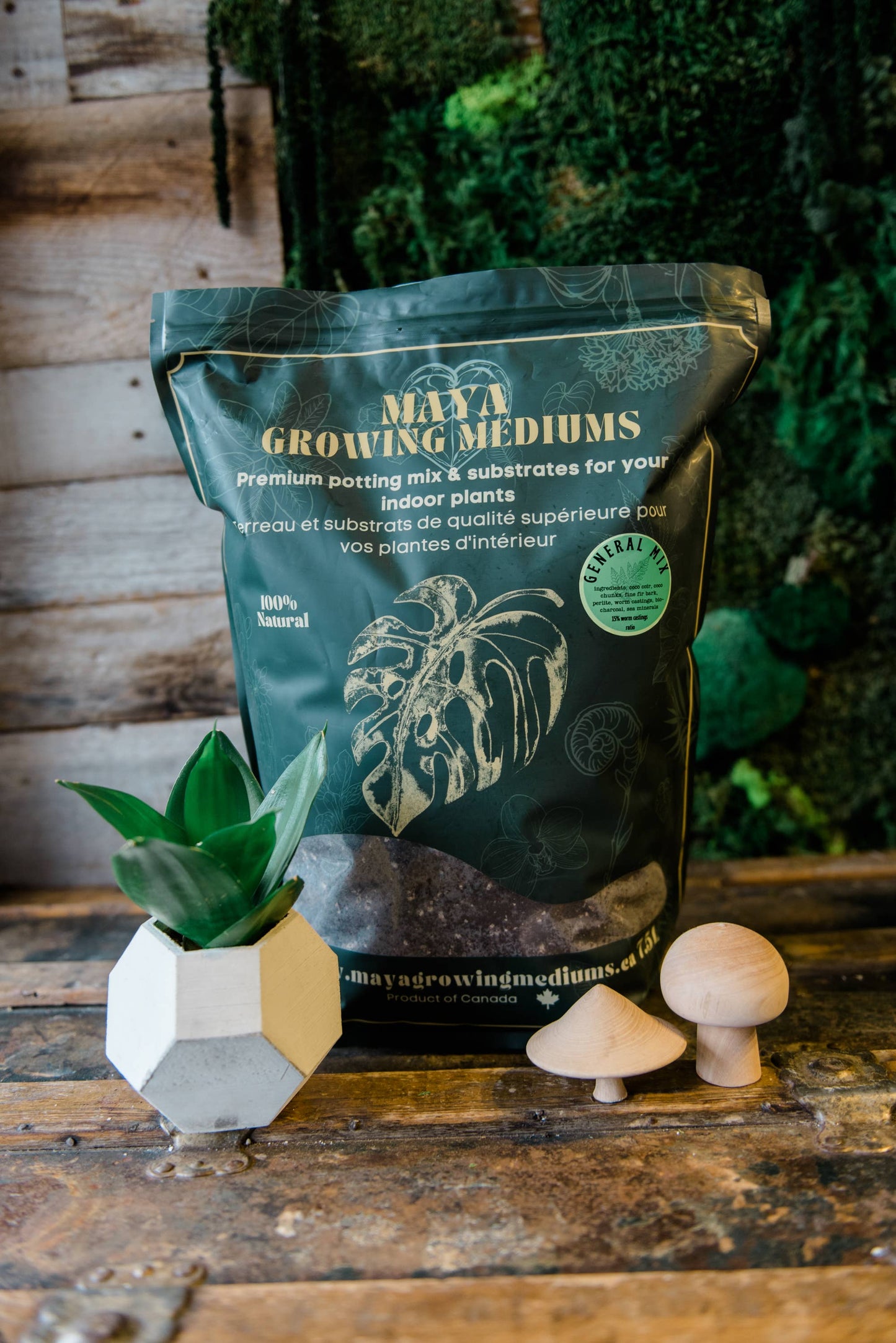 General blend-Potting soil for indoor plants (Copy)