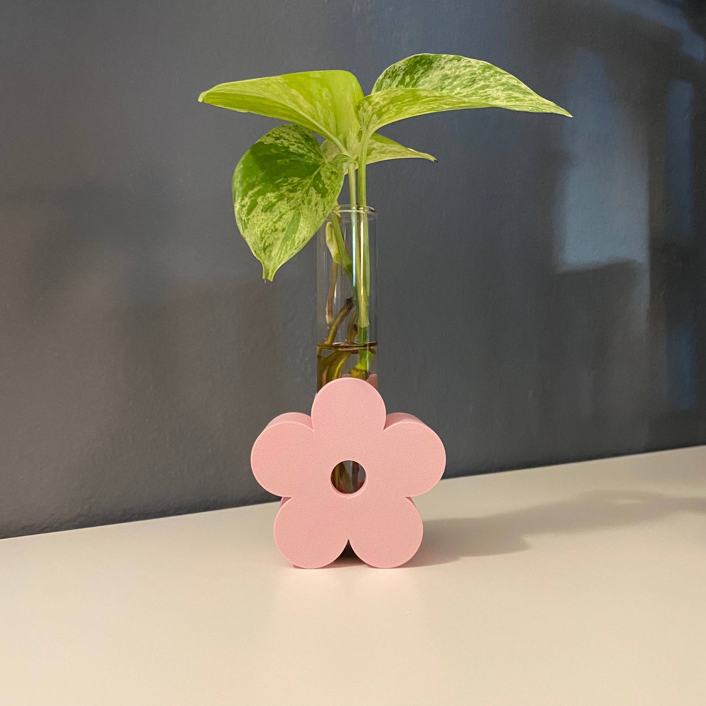 3D Printed Daisy Propagation Station - Eco-Friendly!