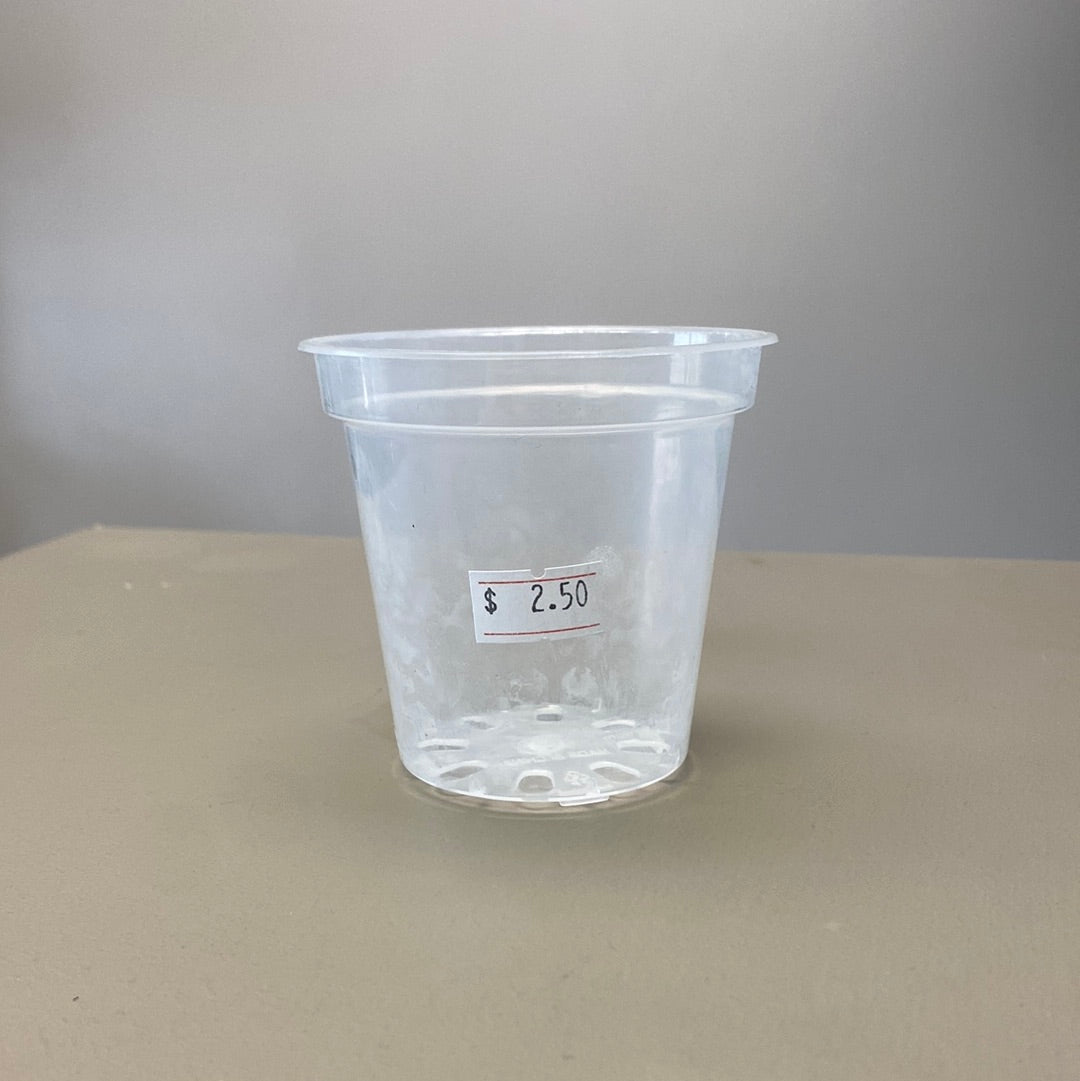 3” clear nursery pot