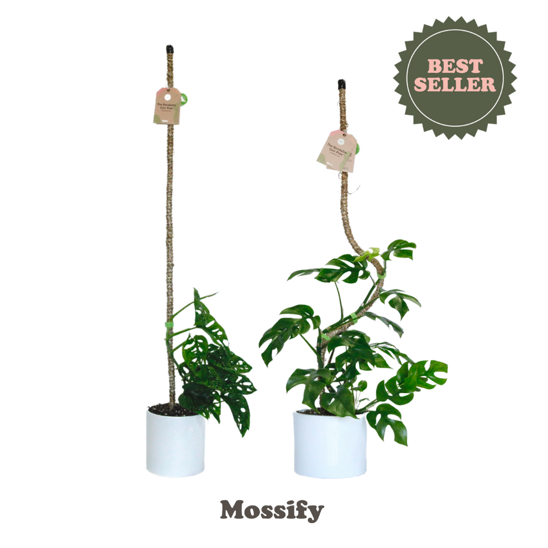 Original Bendable Coir Pole™ - Climbing Plants - Best Seller