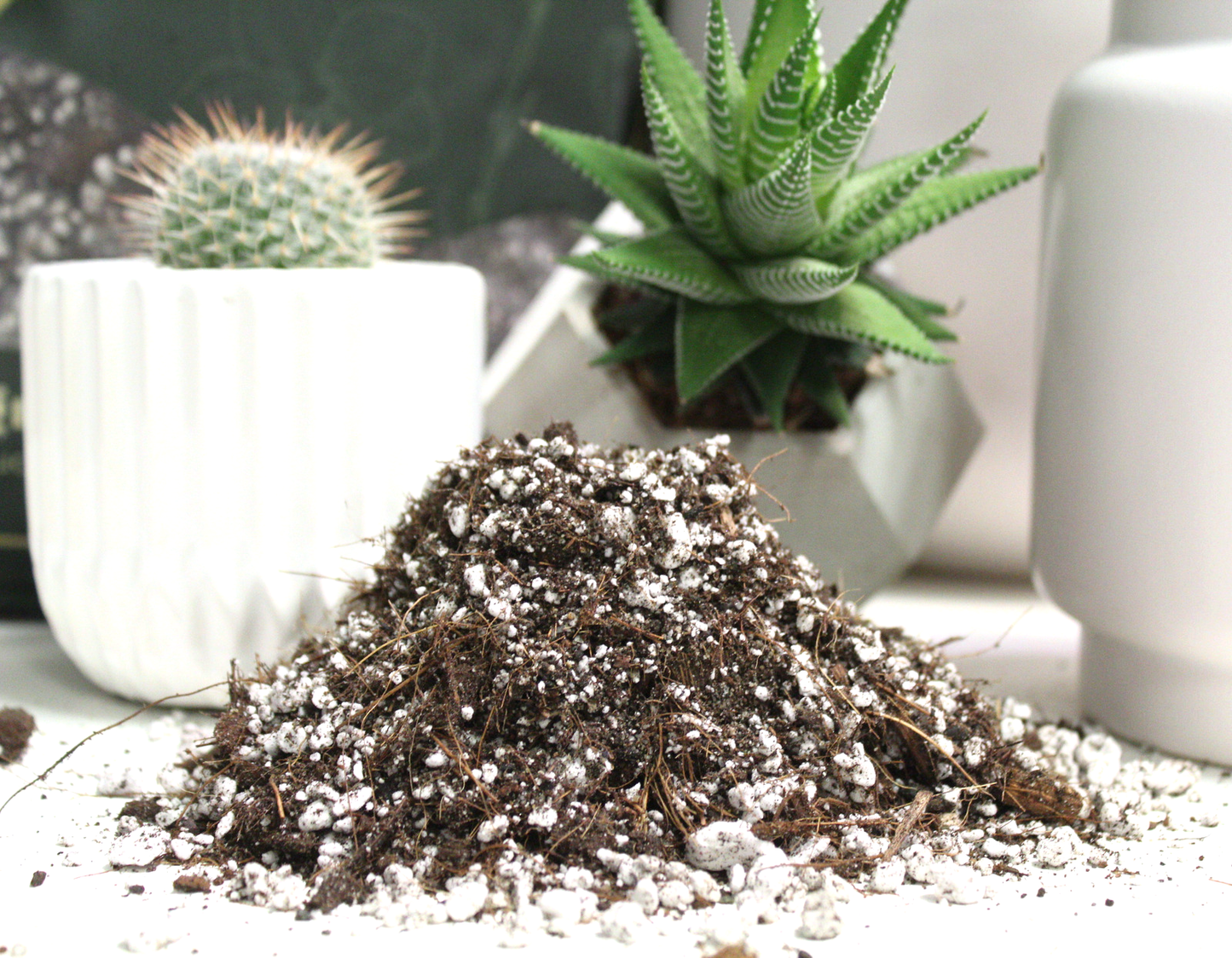 Cactus blend-Potting soil for indoor plants (Copy) (Copy)
