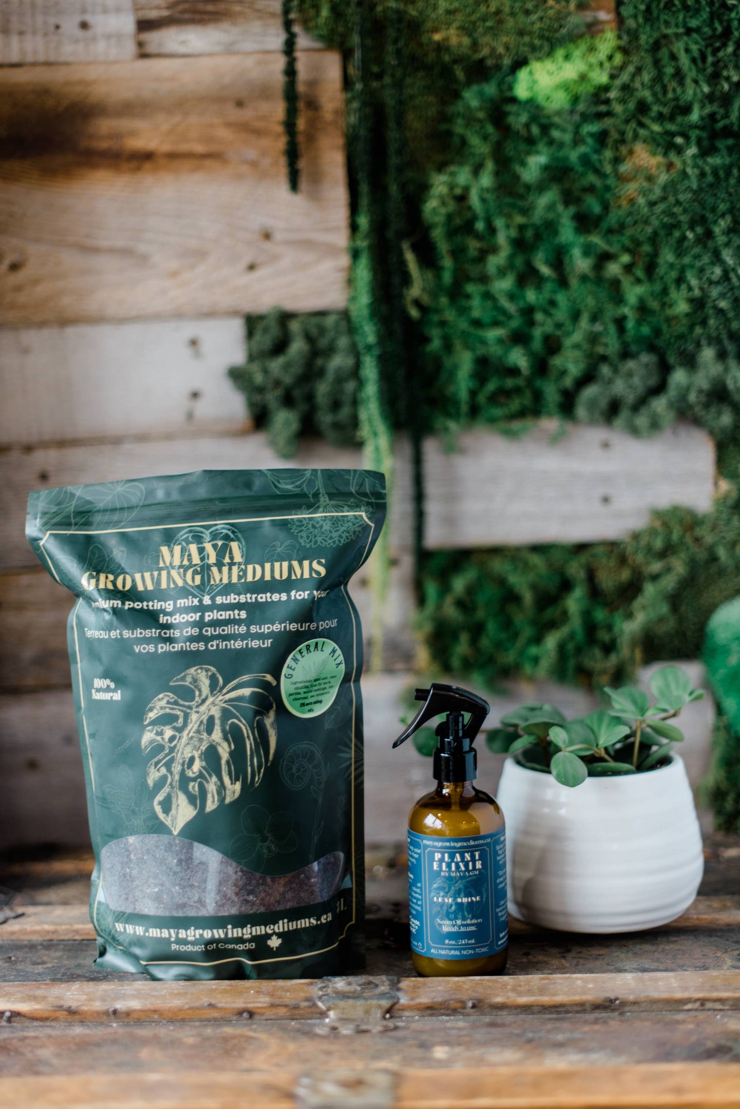 General blend-Potting soil for indoor plants (Copy)