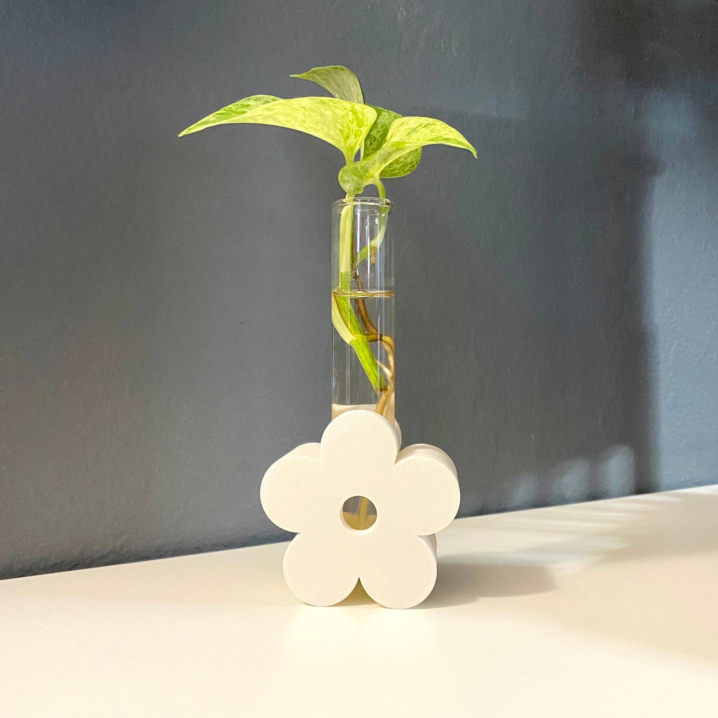 3D Printed Daisy Propagation Station - Eco-Friendly!