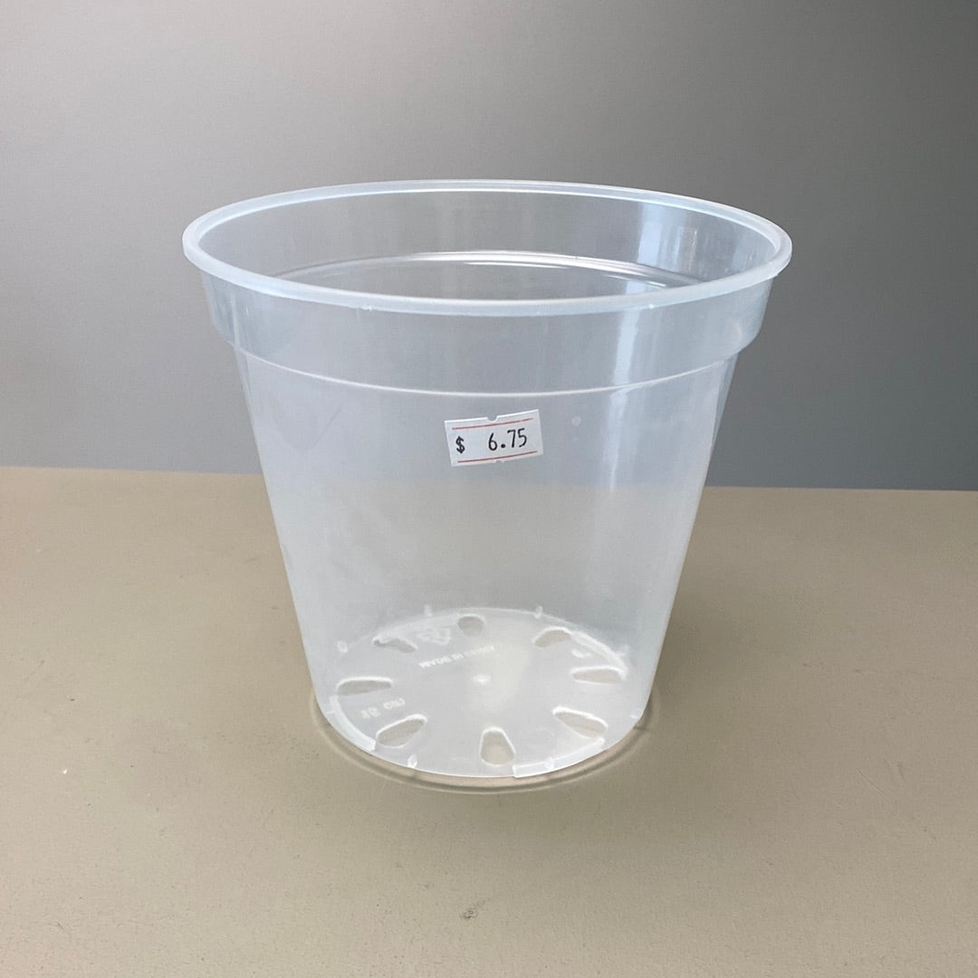 6” Clear Nursery Pot