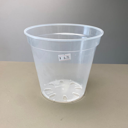 6” Clear Nursery Pot
