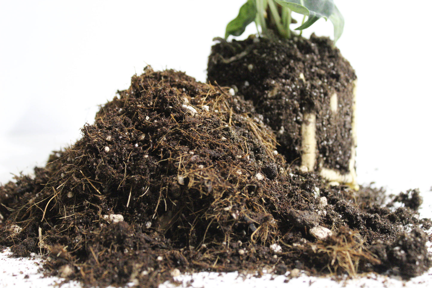 General blend-Potting soil for indoor plants (Copy)