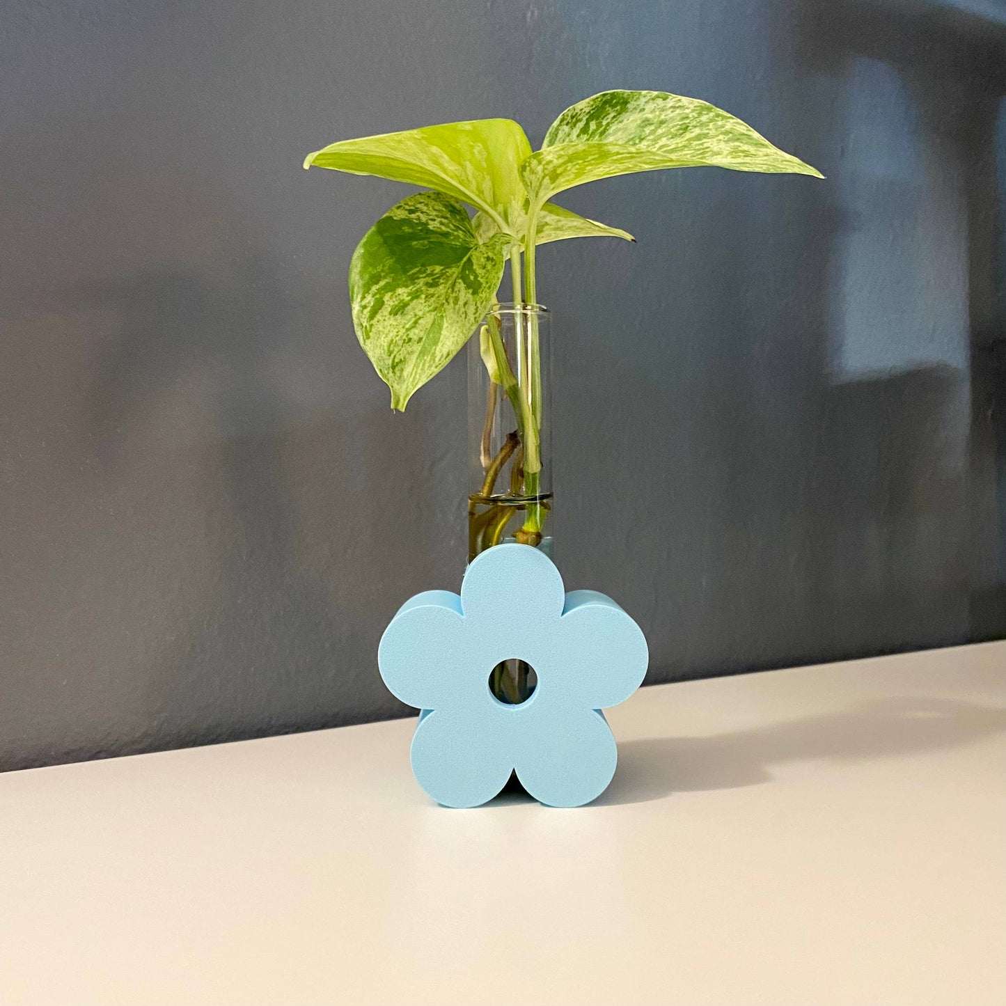 3D Printed Daisy Propagation Station - Eco-Friendly!