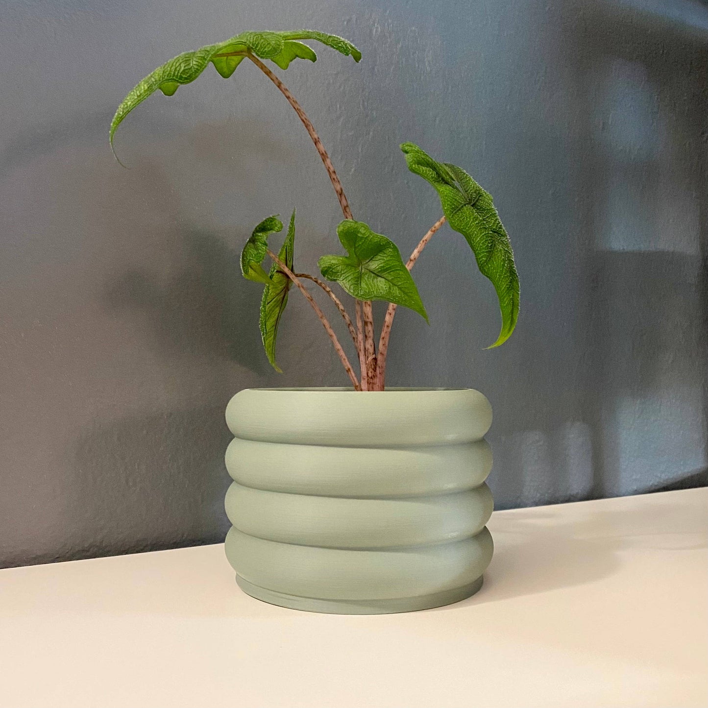 3D Printed 3" Bubble Pot! Indoor Planter