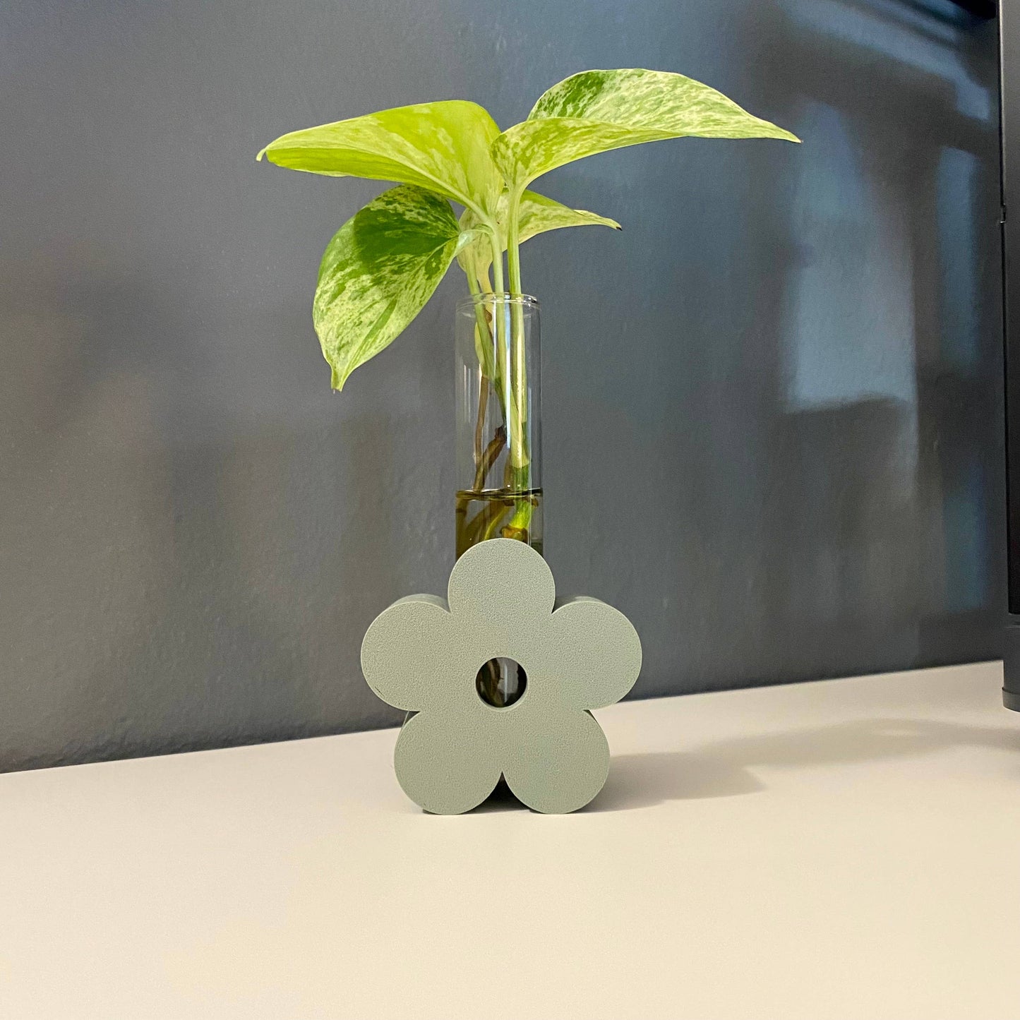 3D Printed Daisy Propagation Station - Eco-Friendly!