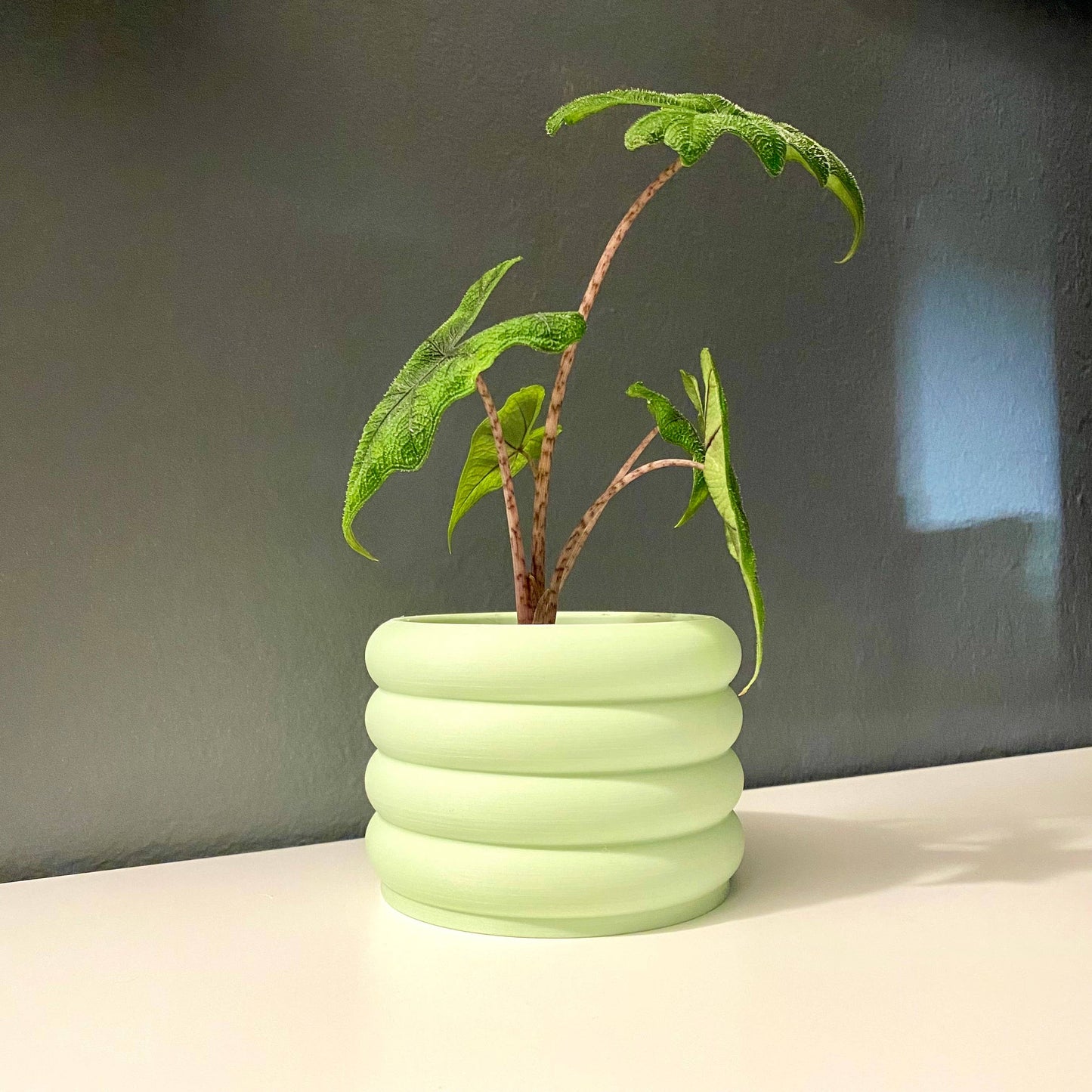 3D Printed 3" Bubble Pot! Indoor Planter