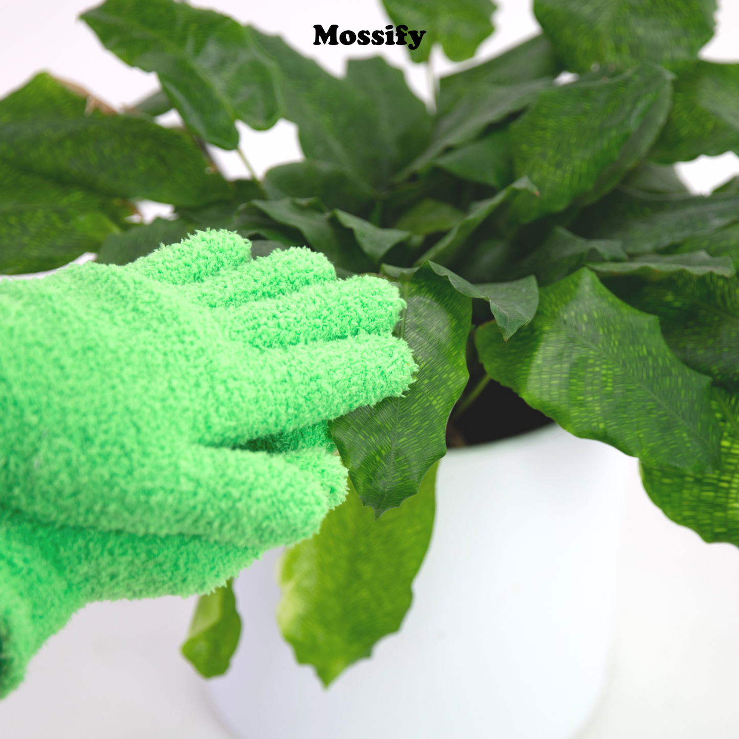 2 Microfiber Gloves - Leaf-Shining Gloves