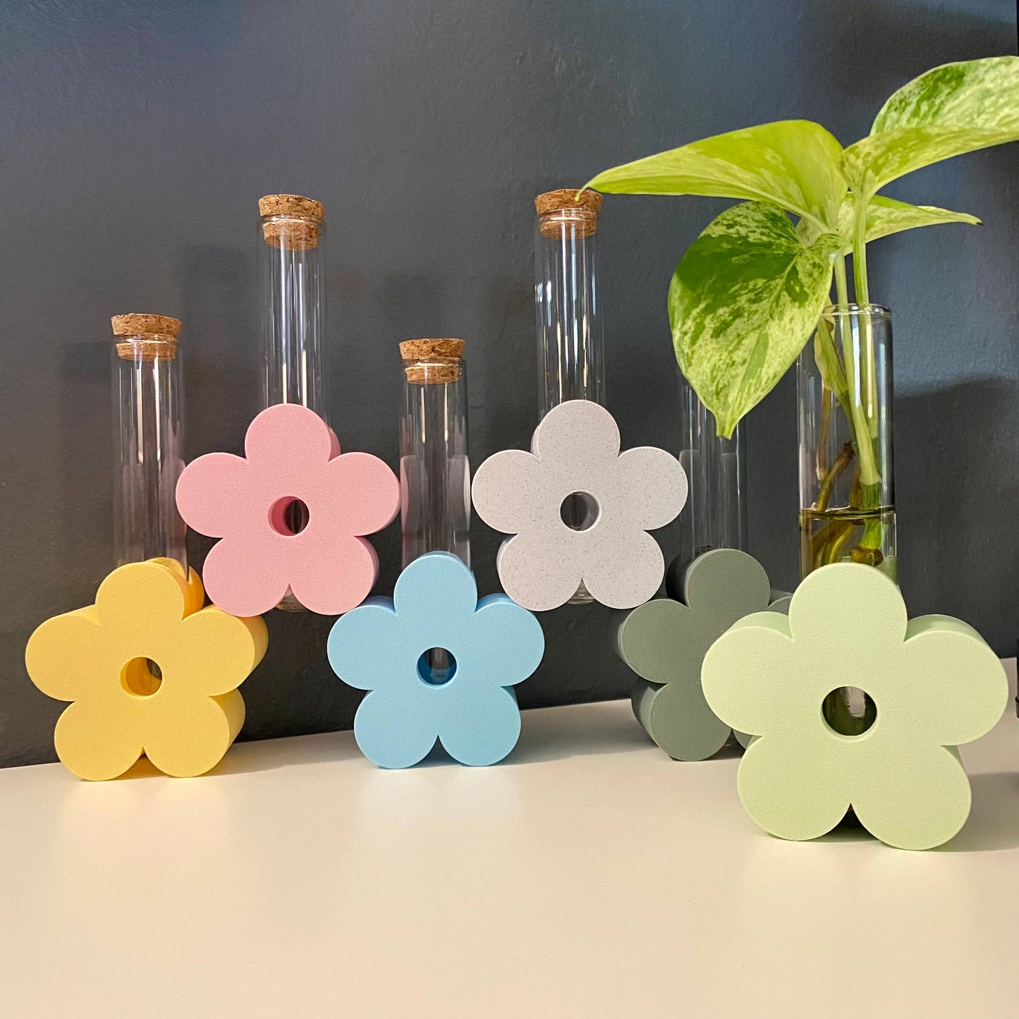 3D Printed Daisy Propagation Station - Eco-Friendly!